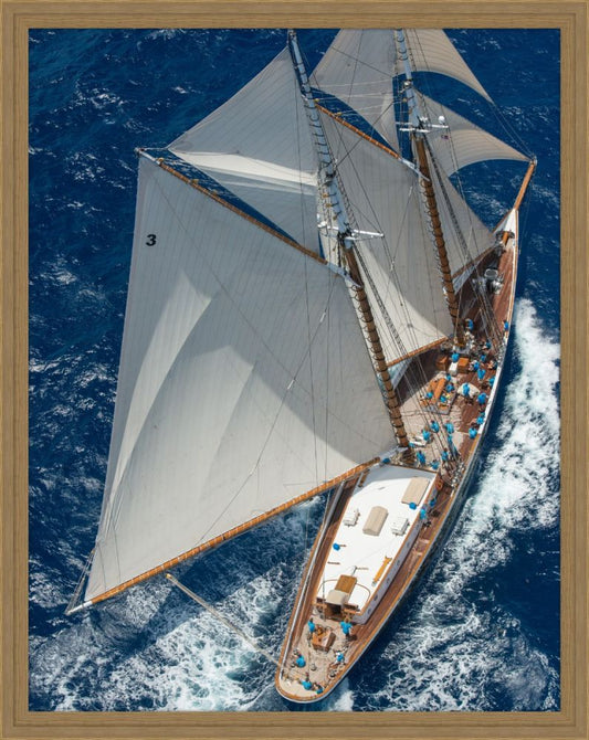 Sail Away I