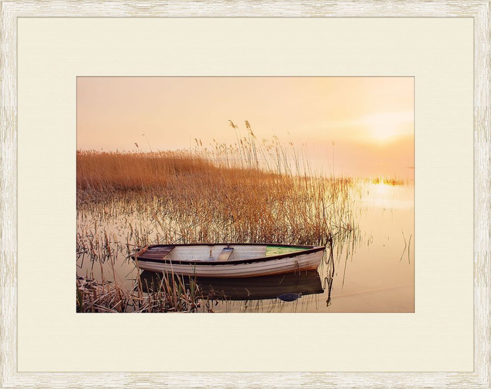 Reflection in the Reeds