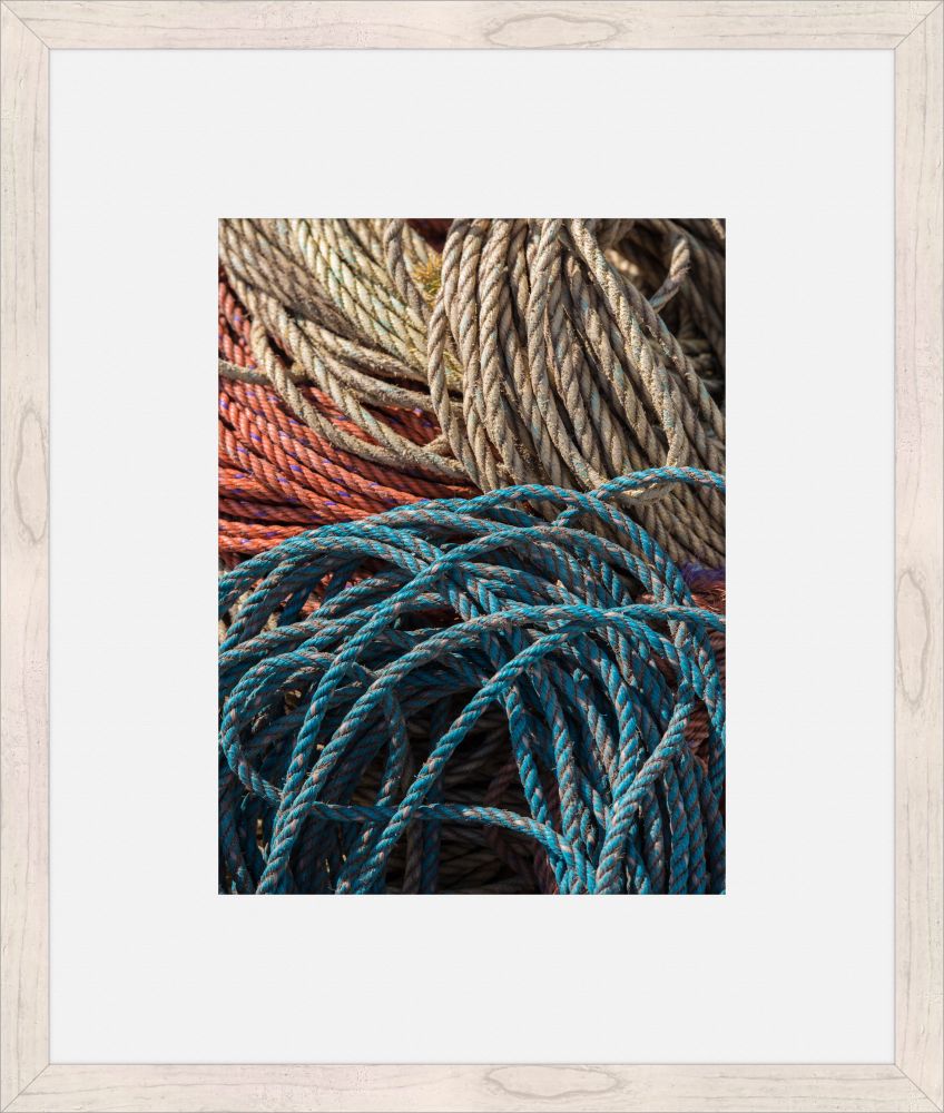 Colorful Fishlines
