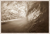 Inside the Curl