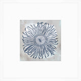 Coastal Sea Anemone