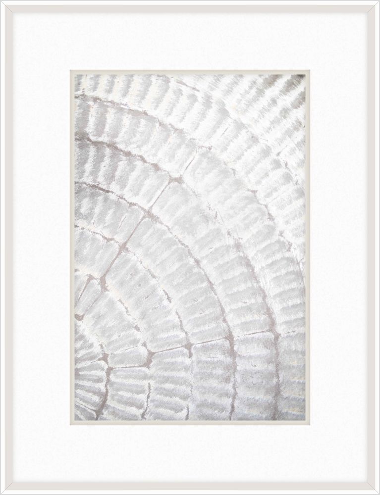 Pattern Plate I