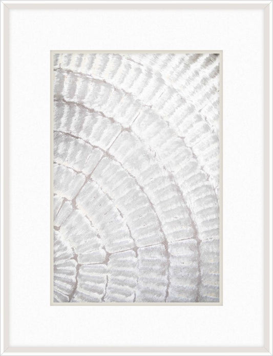 Pattern Plate I