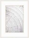Pattern Plate I