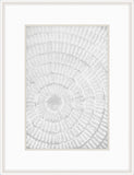 Pattern Plate II