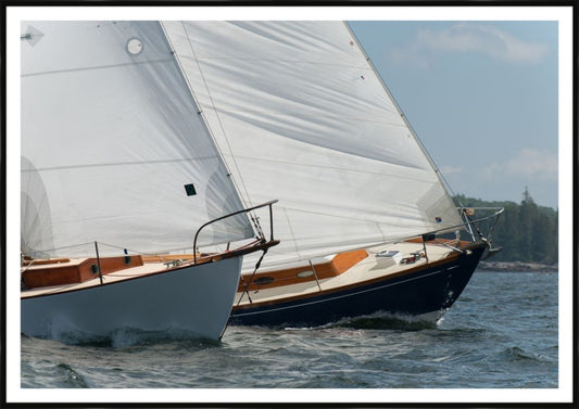 IP15692.jpg