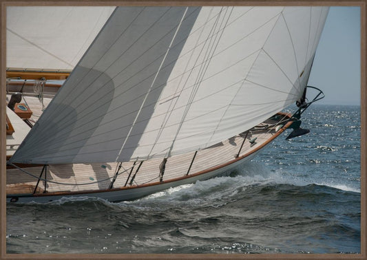 IP15699.jpg