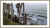 Palm View