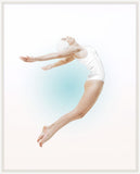 Divers I Petite