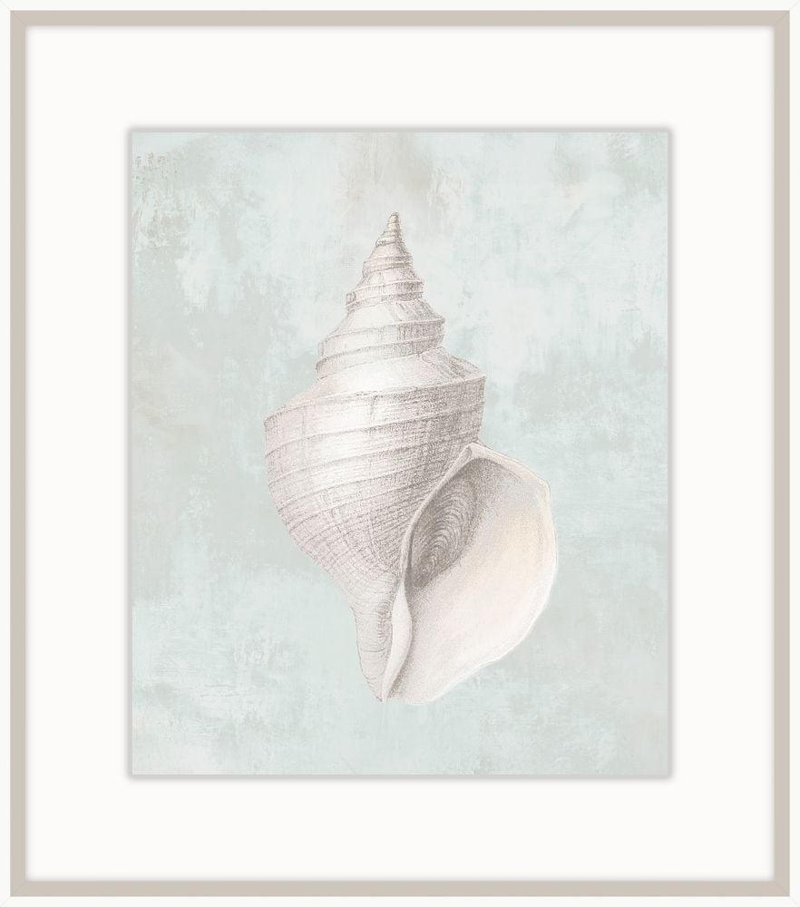 Ocean Relics VI