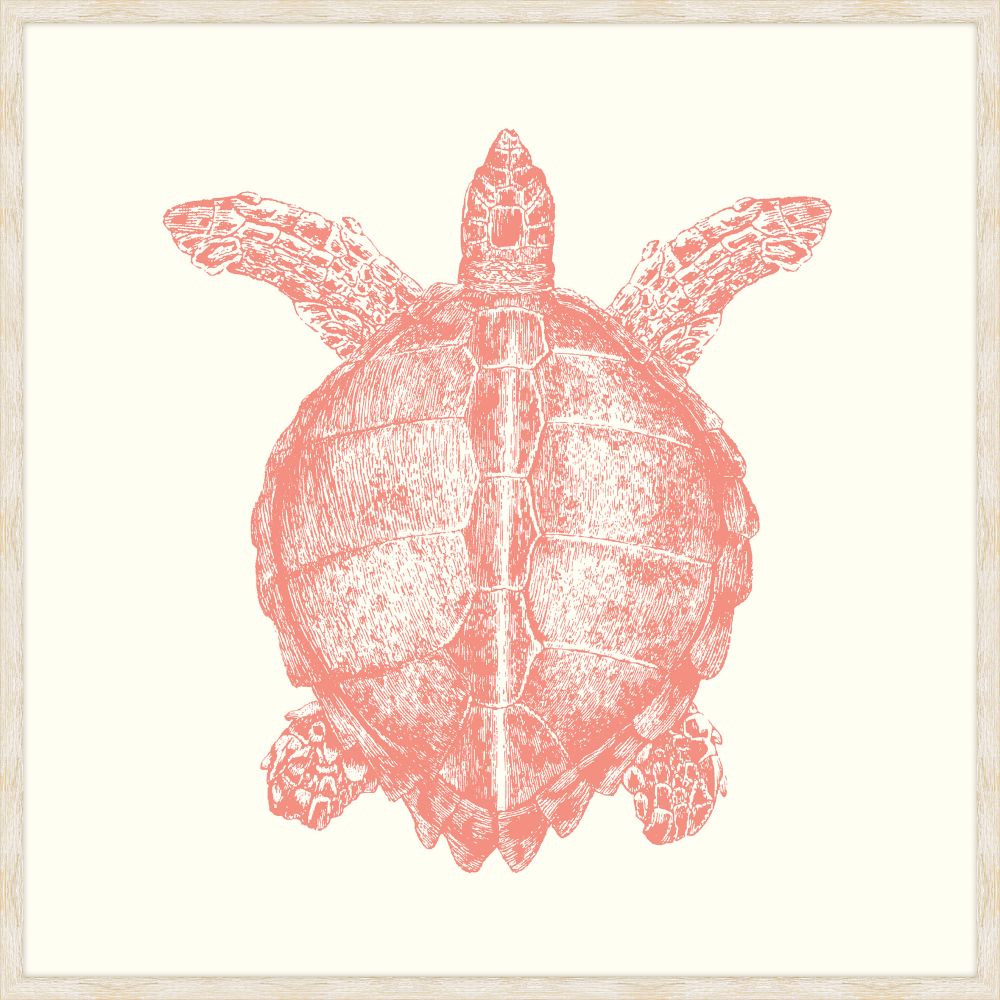 Turtle In Peachy Pink