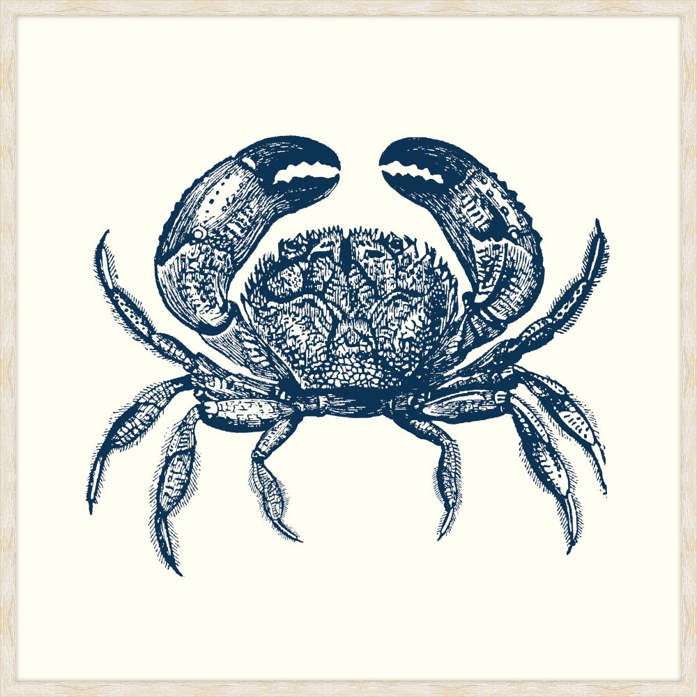 Crab in Blue