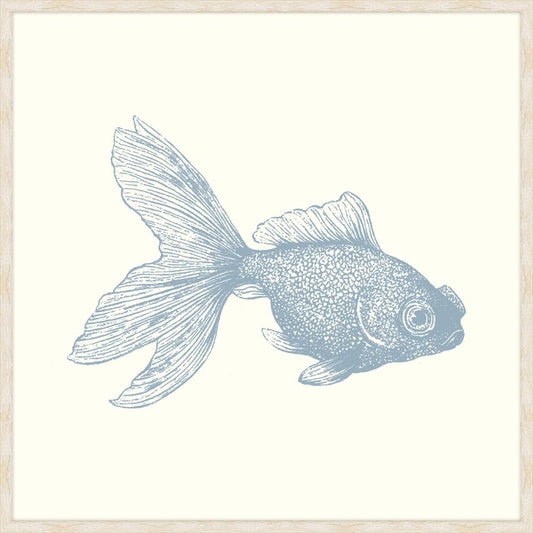 Gold Fish In Blue Nose