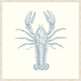 Lobster In Blue Nose