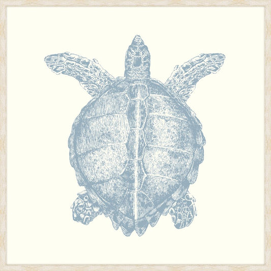 Turtle In Blue Nose