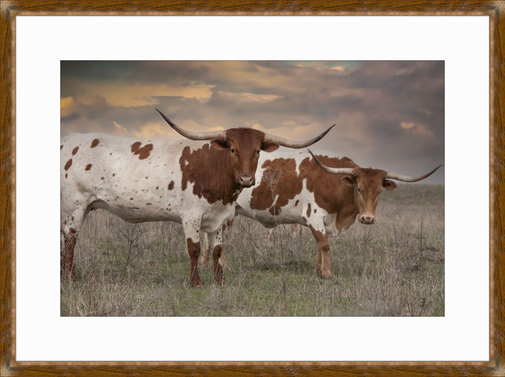 Friends in the Field