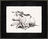 Lying Cow II