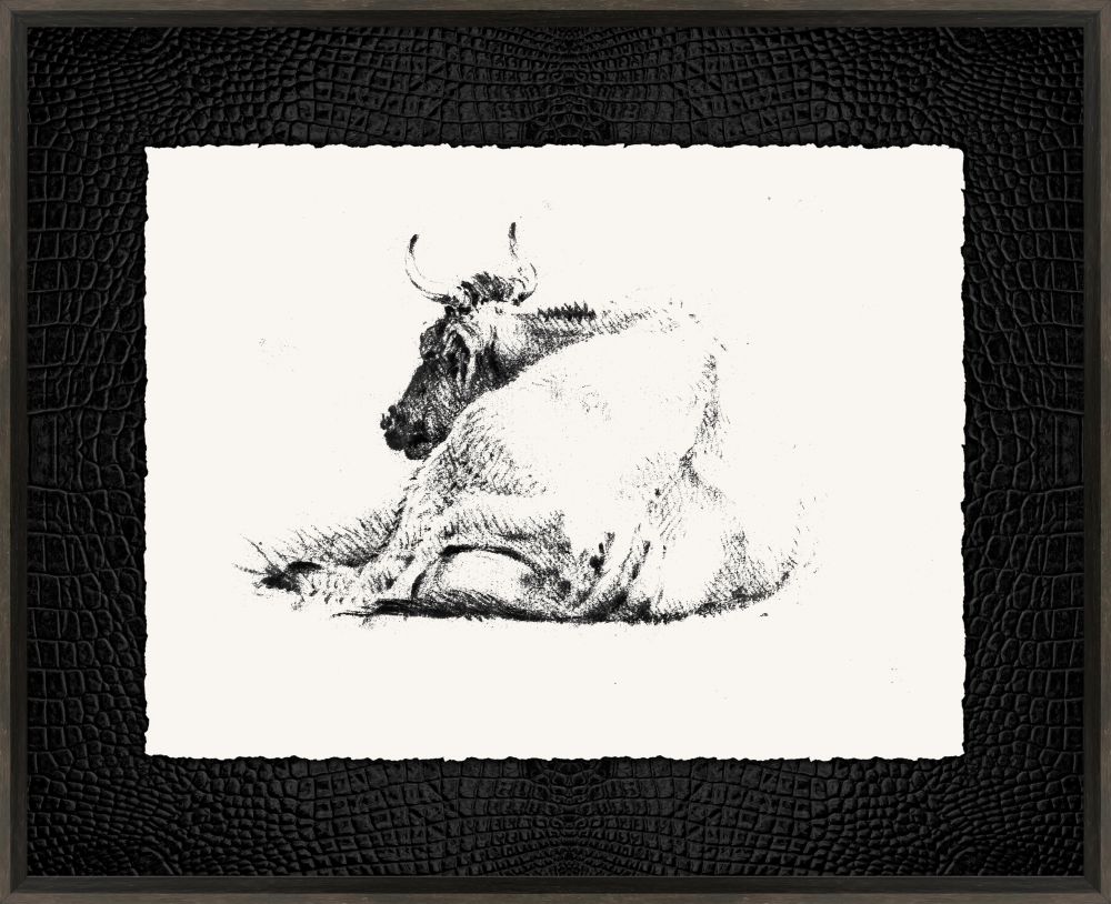 Sleeping Cow