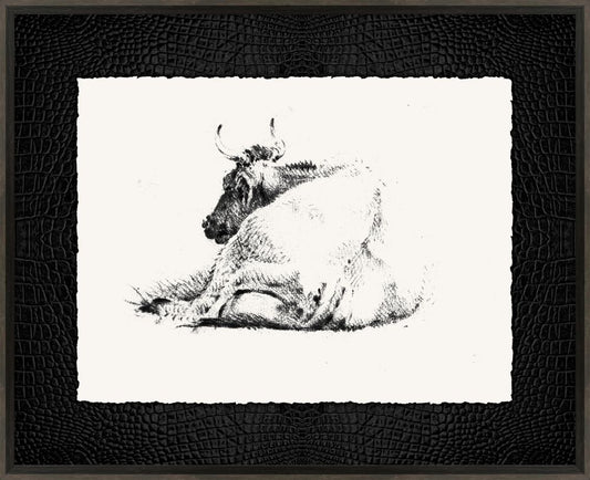 Sleeping Cow