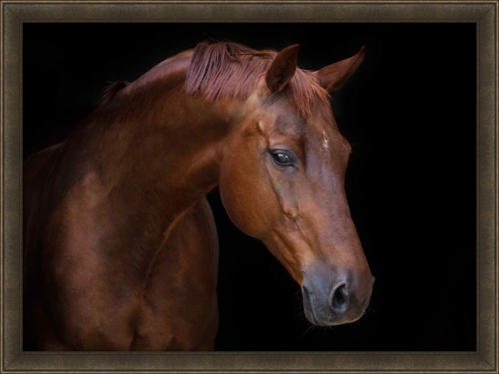 Chestnut
