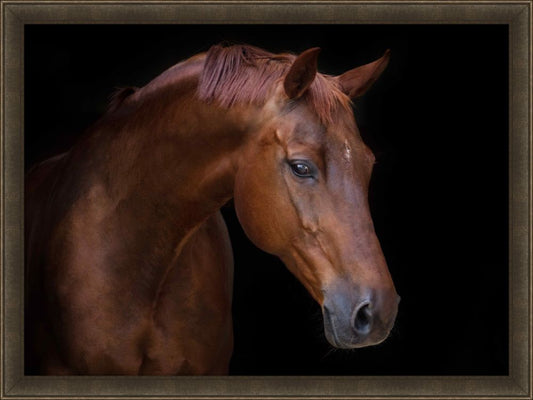 Chestnut