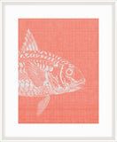 Go Fish in Pinky Peach I