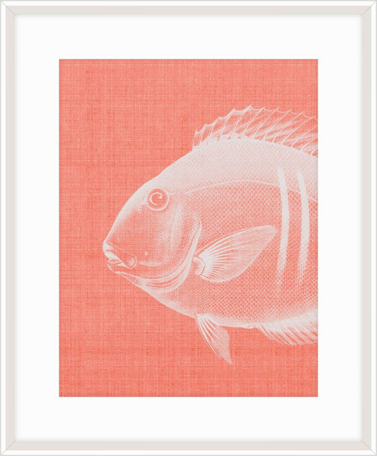 Go Fish in Pinky Peach II
