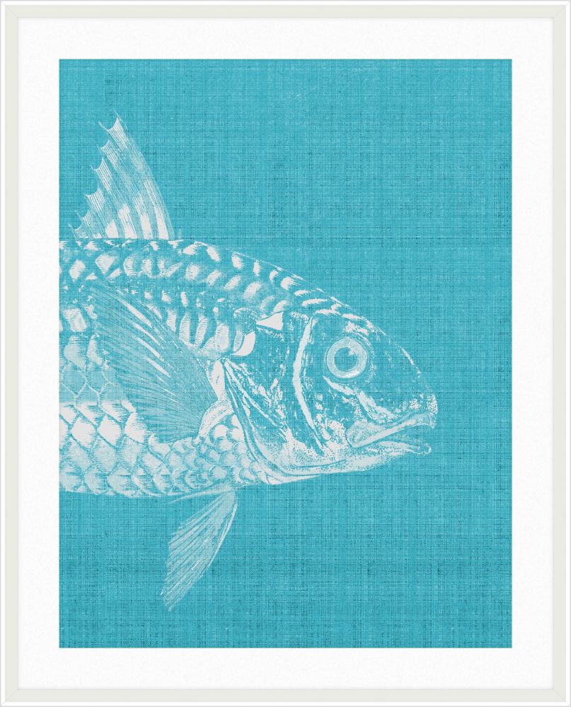 Go Fish in Scuba Blue Grande I