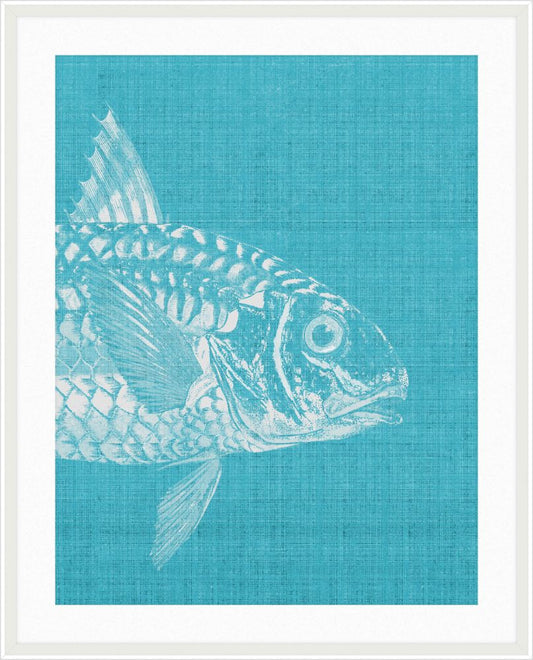Go Fish in Scuba Blue Grande I