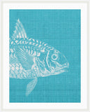 Go Fish in Scuba Blue Grande I