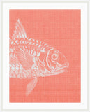 Go Fish in Pinky Peach Grande I