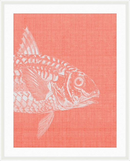 Go Fish in Pinky Peach Grande I