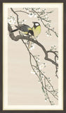Tits on Cherry Branch