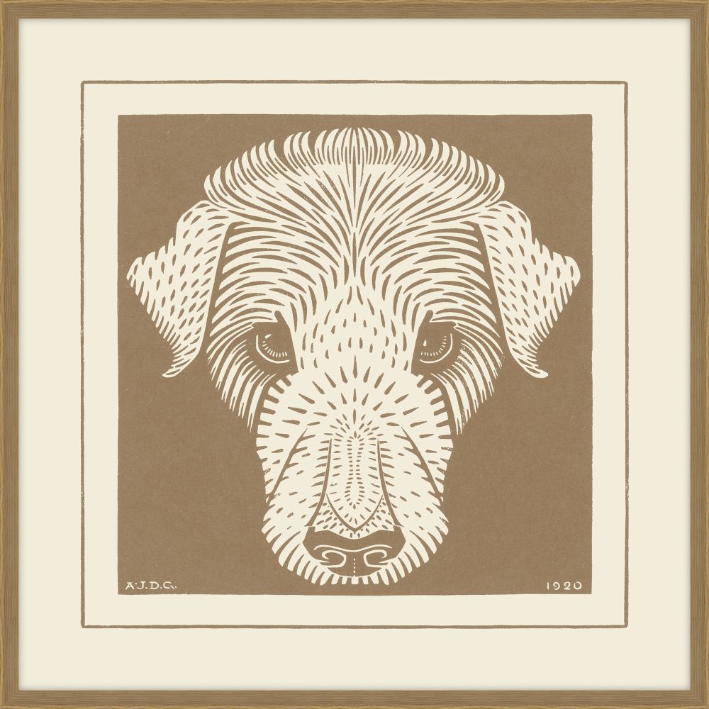 Beau the Dog in Café Au Lait