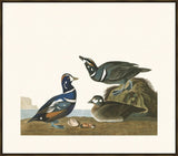 IP16471.jpg