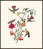 IP16474.jpg