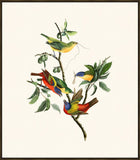 IP16476.jpg