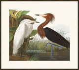 IP16477.jpg