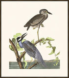 IP16484.jpg