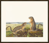 IP16519.jpg