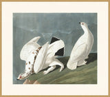 IP16528.jpg