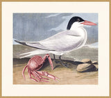 IP16533.jpg