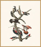 IP16534.jpg