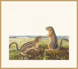 IP16551.jpg