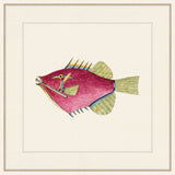 Renard Poisson I