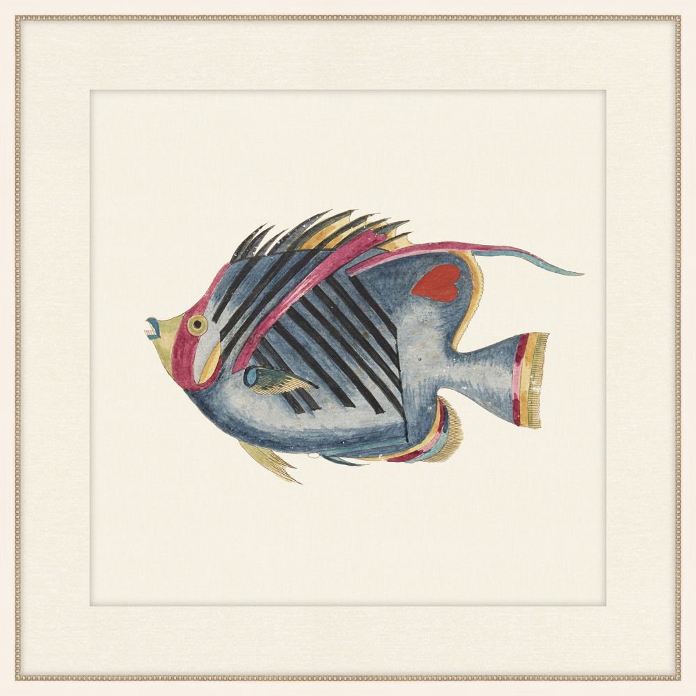 Renard Poisson IV