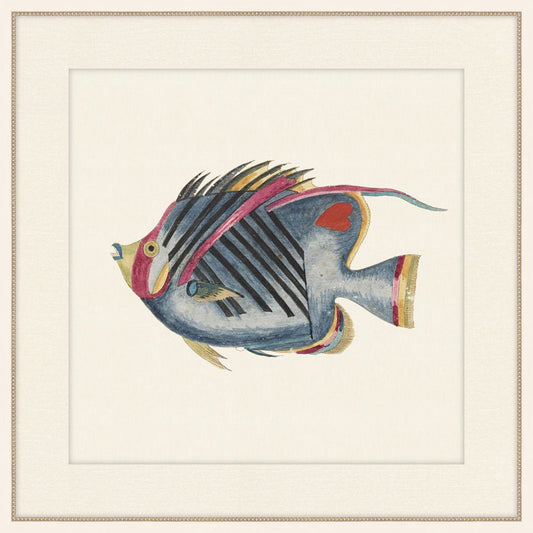 Renard Poisson IV