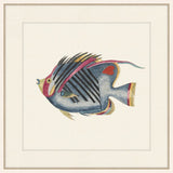 Renard Poisson IV