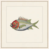 Renard Poisson V