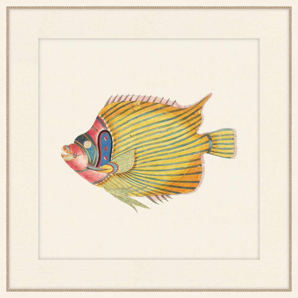 Renard Poisson VI
